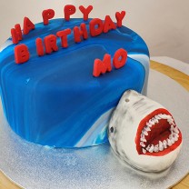 Beach Shark cake (D,V)